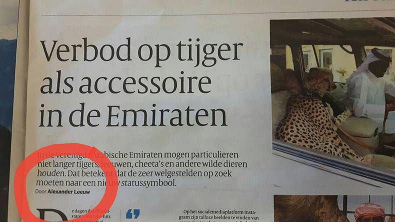 Gewoon een verzameling hilarische foto's #762