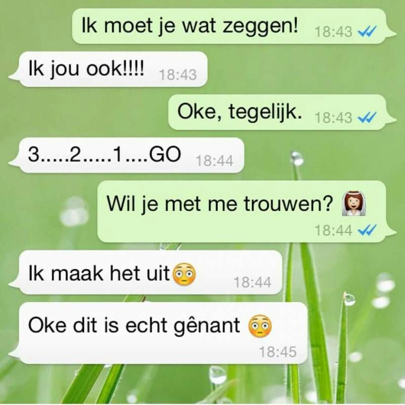 Gewoon een verzameling hilarische foto's #741