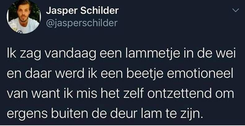 Gewoon een verzameling hilarische foto's #1265