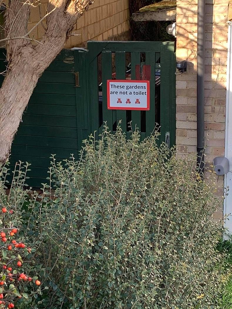 Gewoon een verzameling hilarische foto's #1256