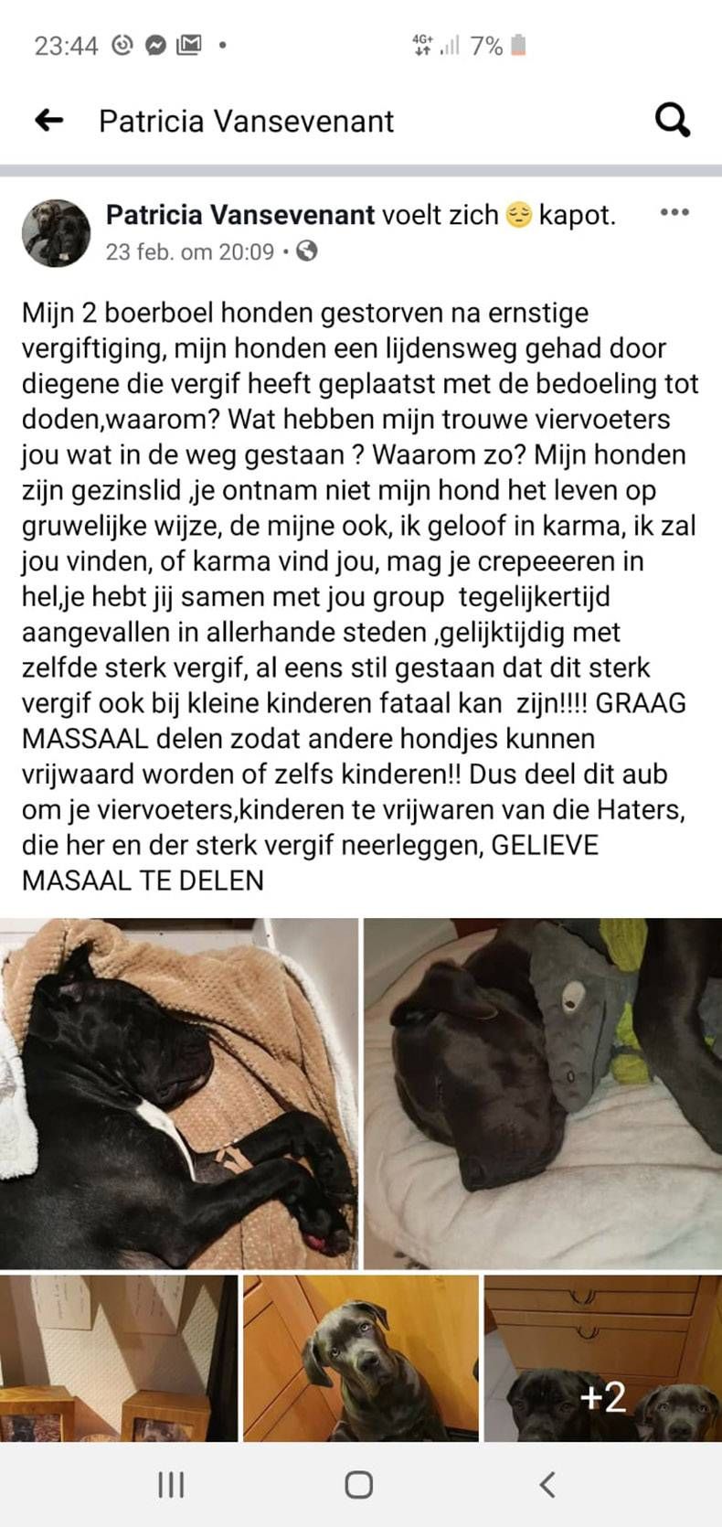 Gewoon een verzameling hilarische foto's #1251