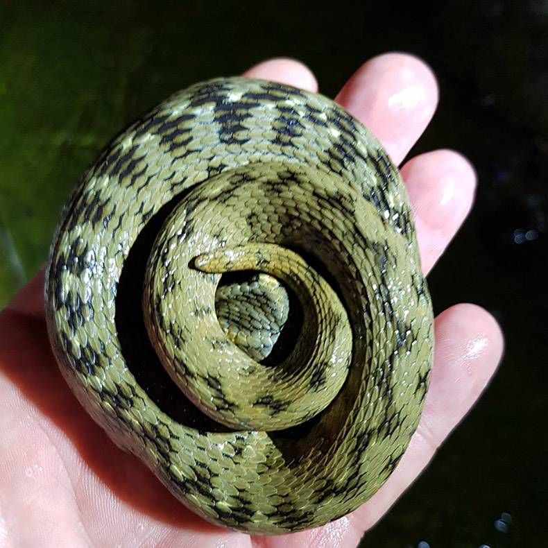 Gewoon een verzameling hilarische foto's #1161