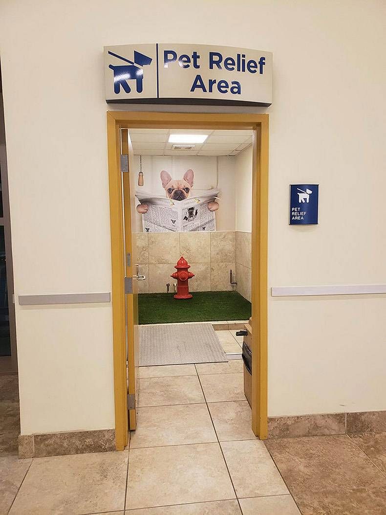 Gewoon een verzameling hilarische foto's #1128