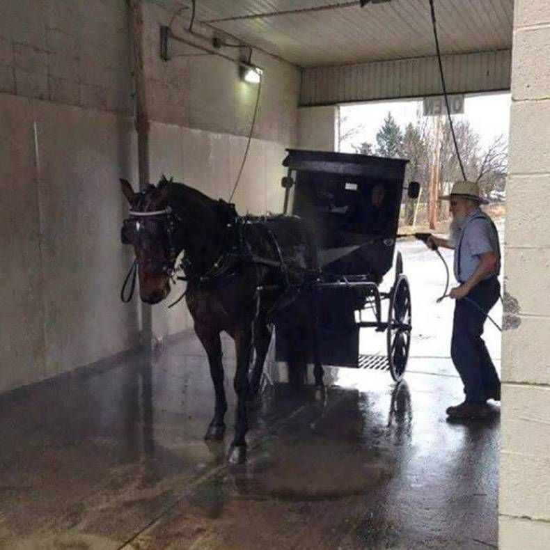 Gewoon een verzameling hilarische foto’s #978