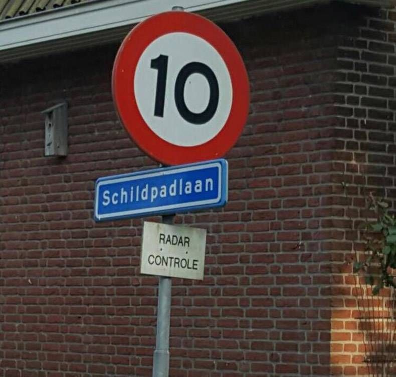 Gewoon een verzameling hilarische foto's #1251