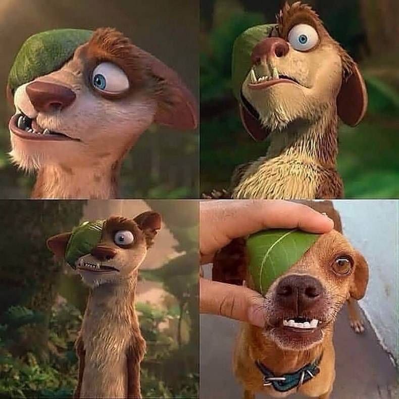 Gewoon een verzameling hilarische foto's #1152