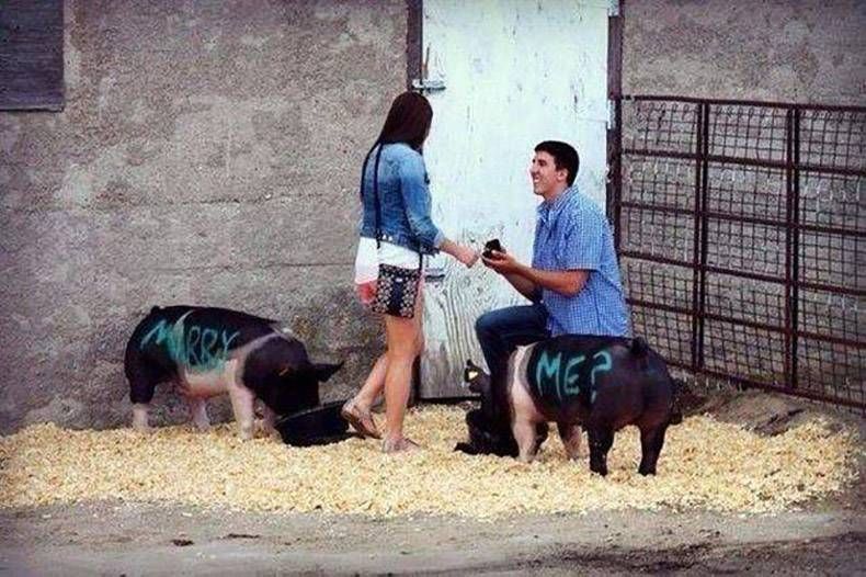 Gewoon een verzameling hilarische foto's #984