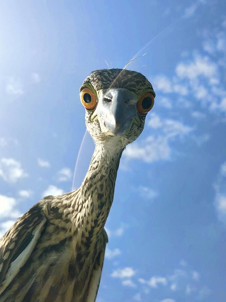 Gewoon een verzameling hilarische foto’s #978