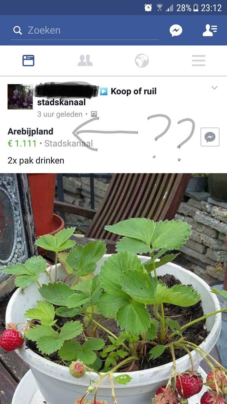 Gewoon een verzameling hilarische foto's #826