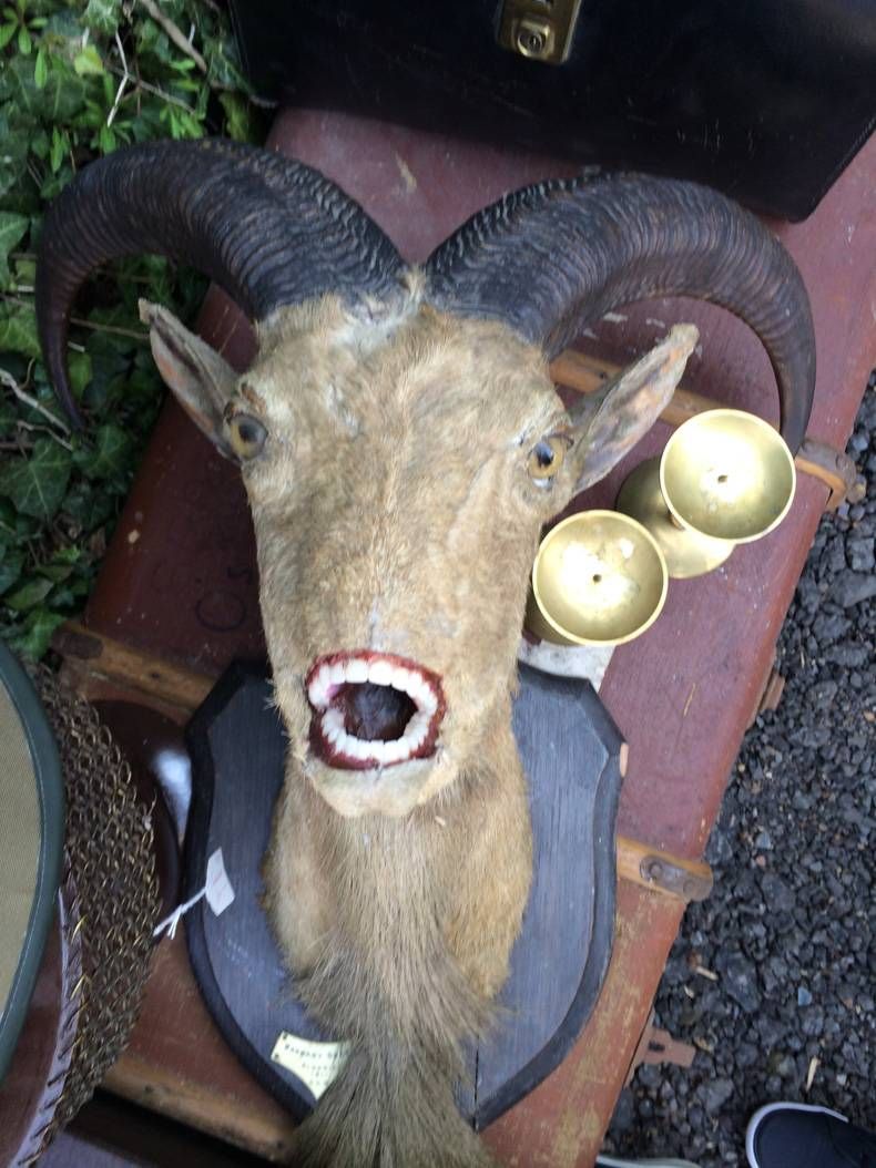 Gewoon een verzameling hilarische foto's #721