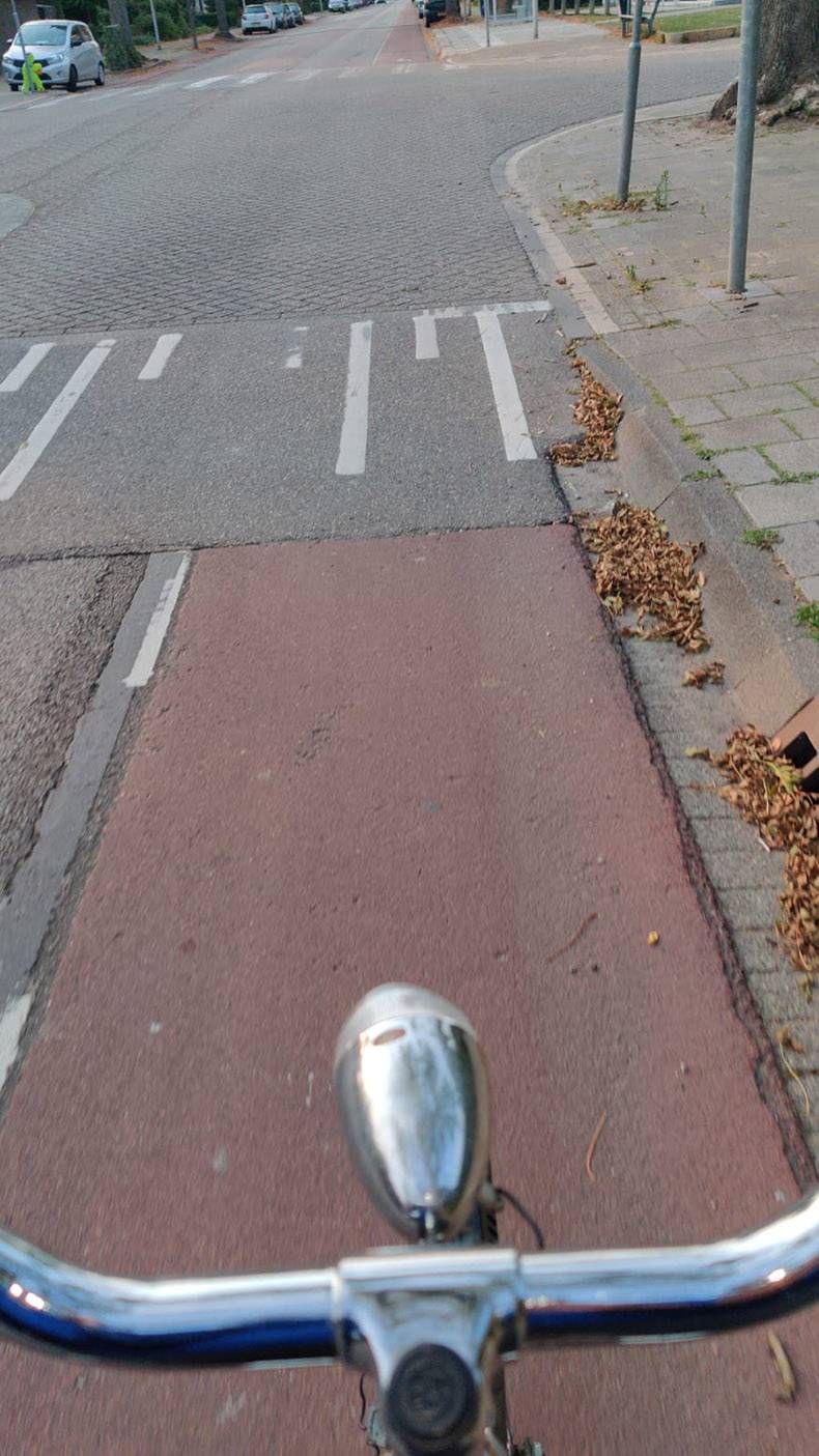 Gewoon een verzameling hilarische foto’s #1336