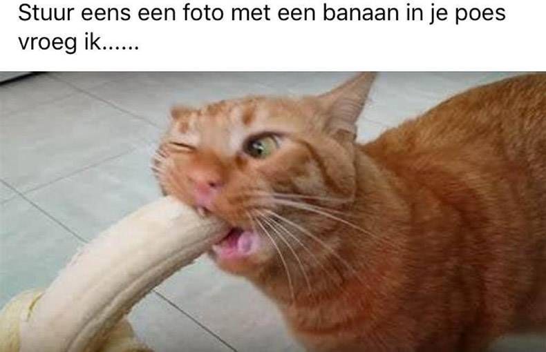 Gewoon een verzameling hilarische foto’s #1322