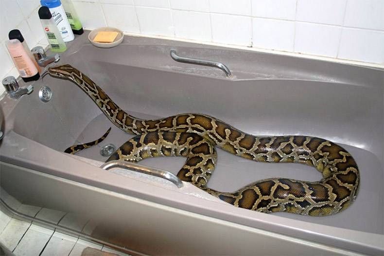 Gewoon een verzameling hilarische foto's #1096