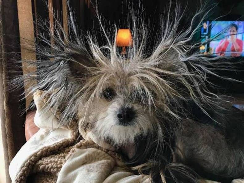 Gewoon een verzameling hilarische foto's #1077