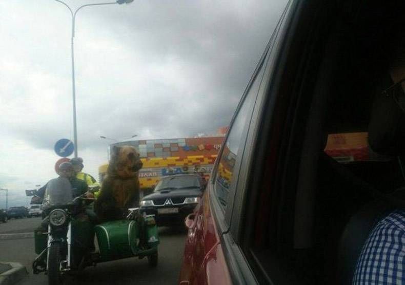 Gewoon een verzameling hilarische foto's #999