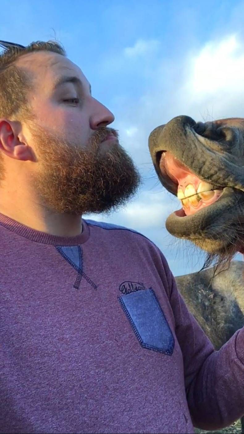 Gewoon een verzameling hilarische foto's #730