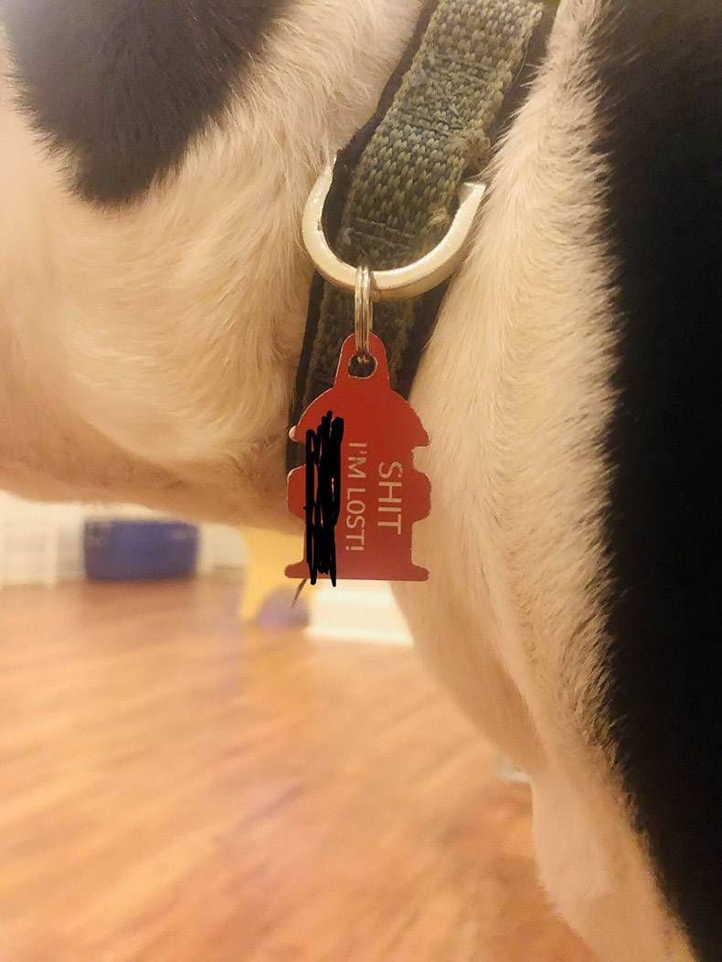 Gewoon een verzameling hilarische foto's #1152