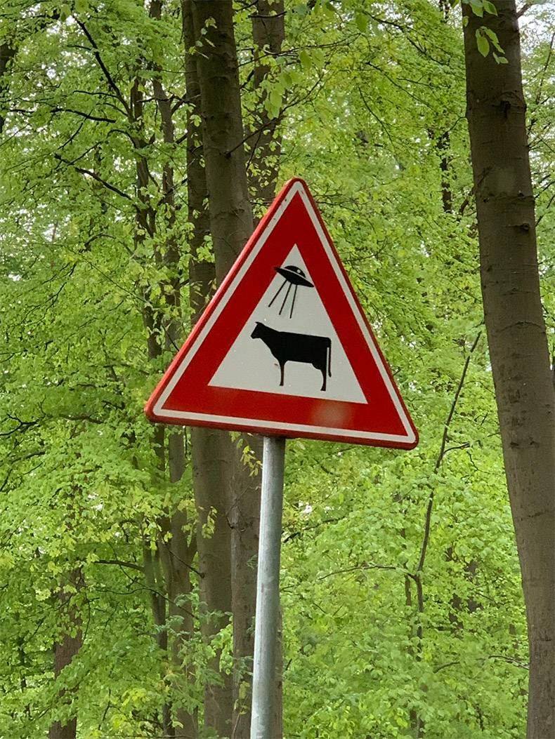 Gewoon een verzameling hilarische foto's #1120