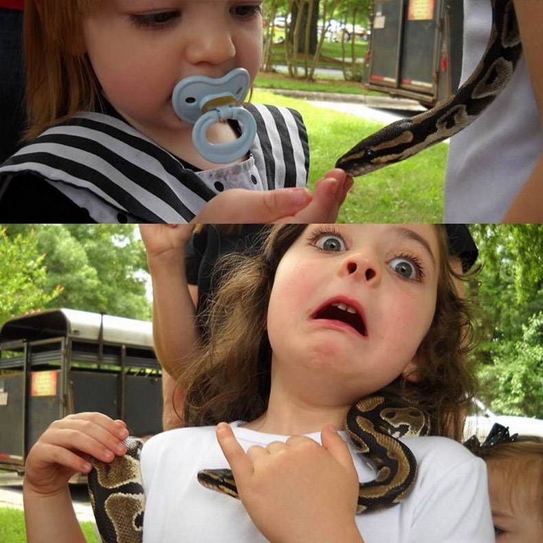 Gewoon een verzameling hilarische foto's #1089