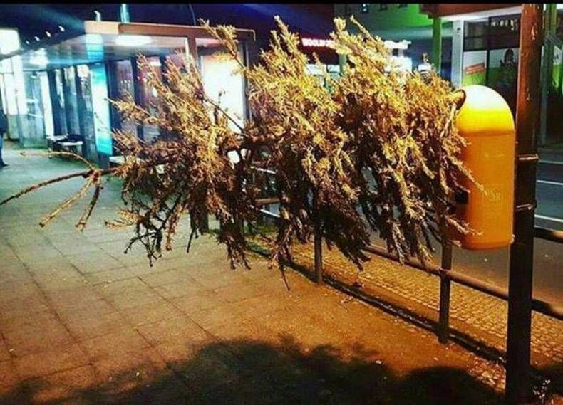 Gewoon een verzameling hilarische foto's #1077