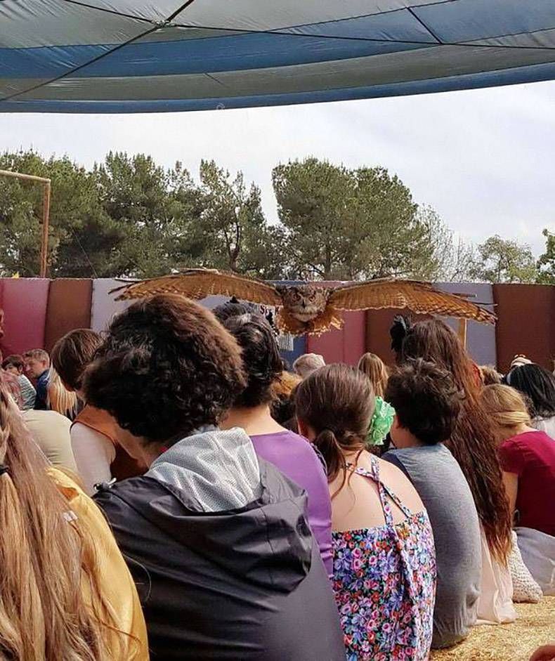 Gewoon een verzameling hilarische foto’s #921