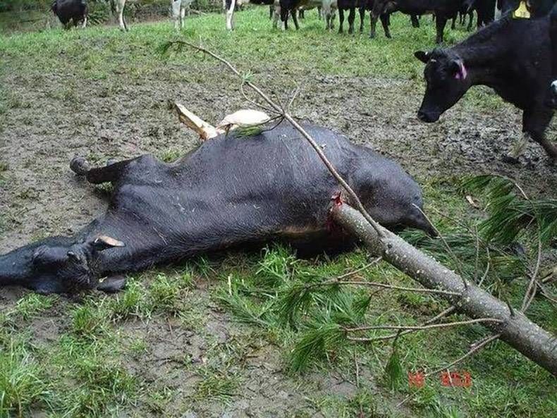 Gewoon een verzameling hilarische foto's #772