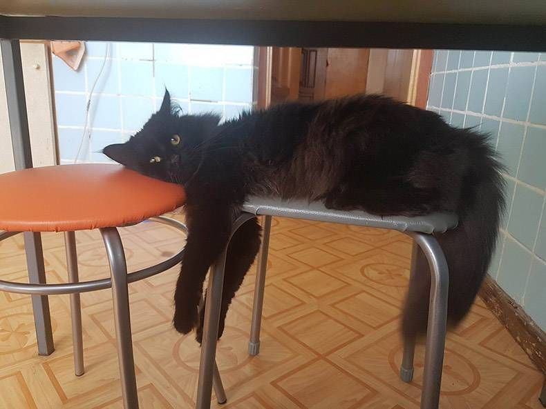 Gewoon een verzameling hilarische foto's #1152