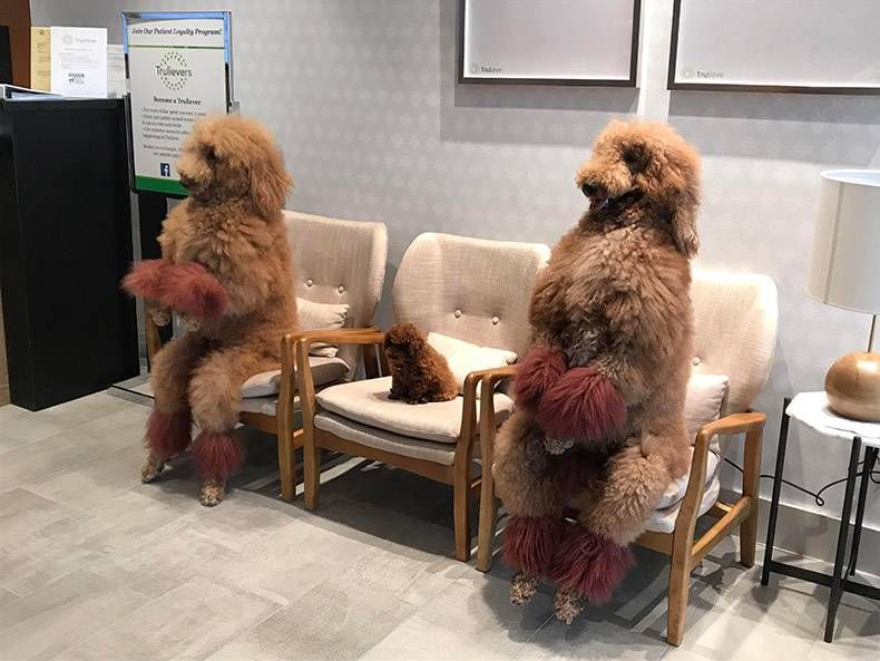 Gewoon een verzameling hilarische foto's #1139