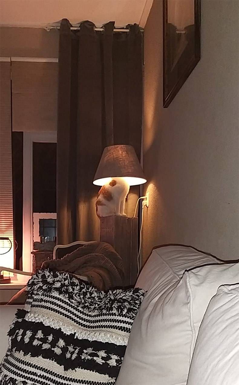 Gewoon een verzameling hilarische foto's #1120