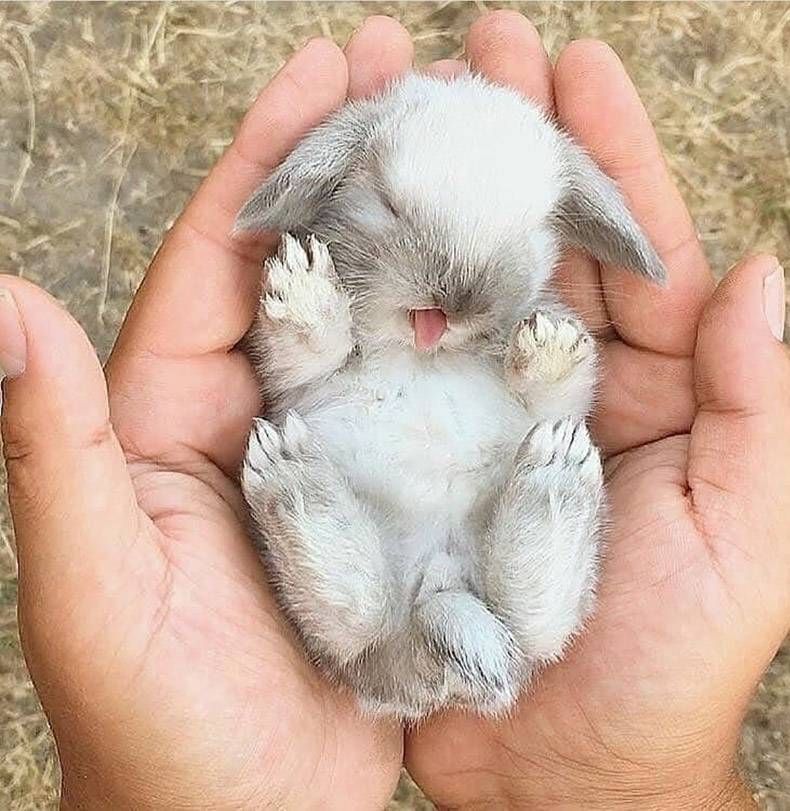 Gewoon een verzameling hilarische foto's #1096