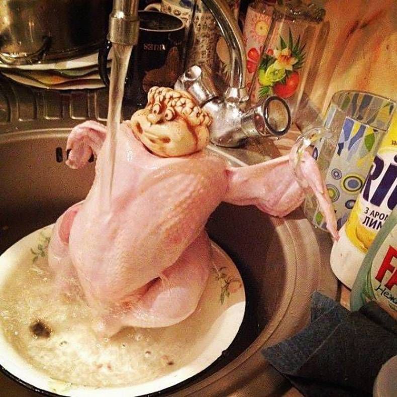 Gewoon een verzameling hilarische foto's #984