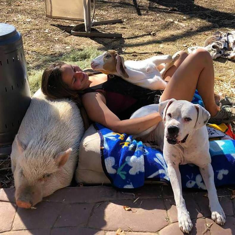 Gewoon een verzameling hilarische foto’s #921