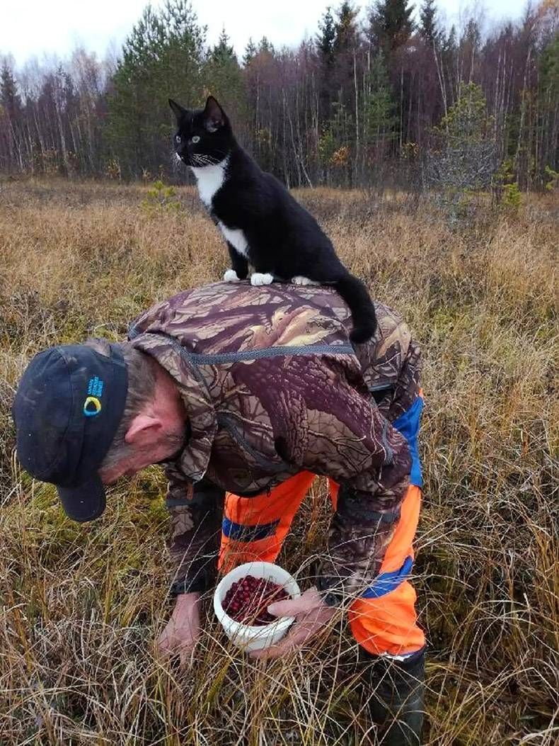 Gewoon een verzameling hilarische foto's #893