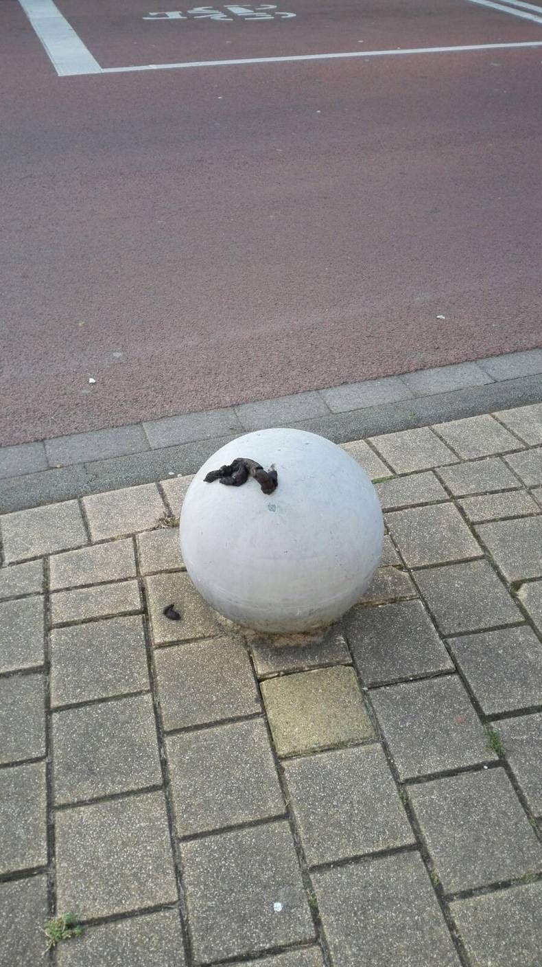 Gewoon een verzameling hilarische foto's #725