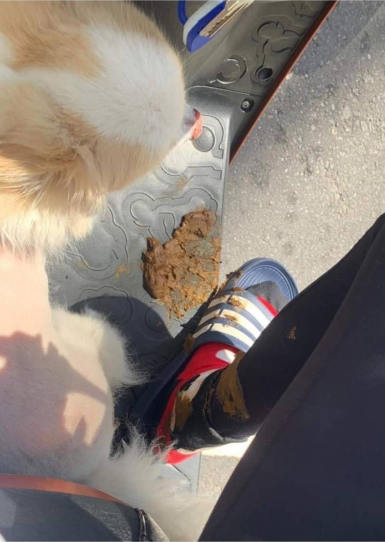 Gewoon een verzameling hilarische foto's #1321