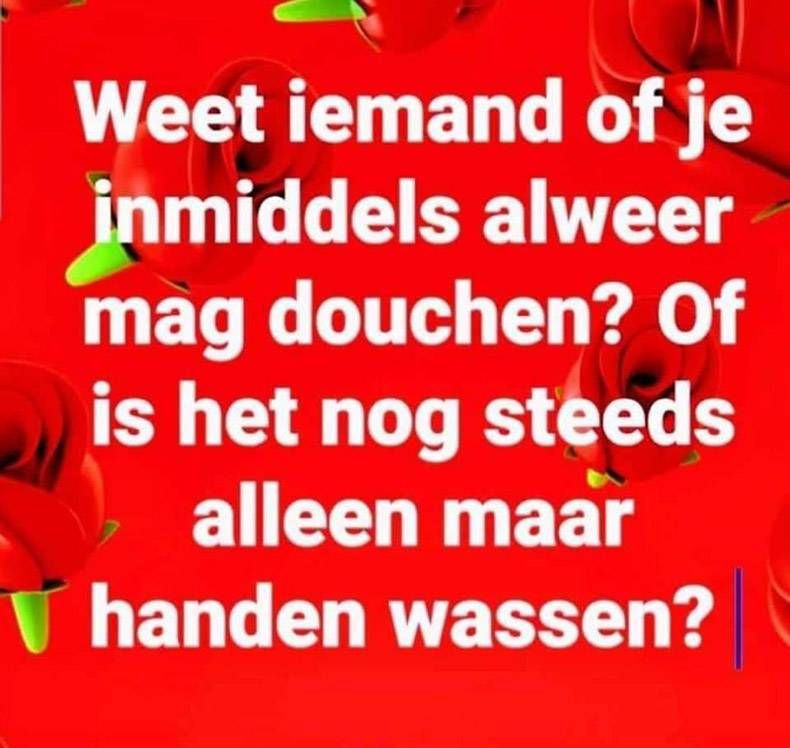 Gewoon een verzameling hilarische foto's #1265