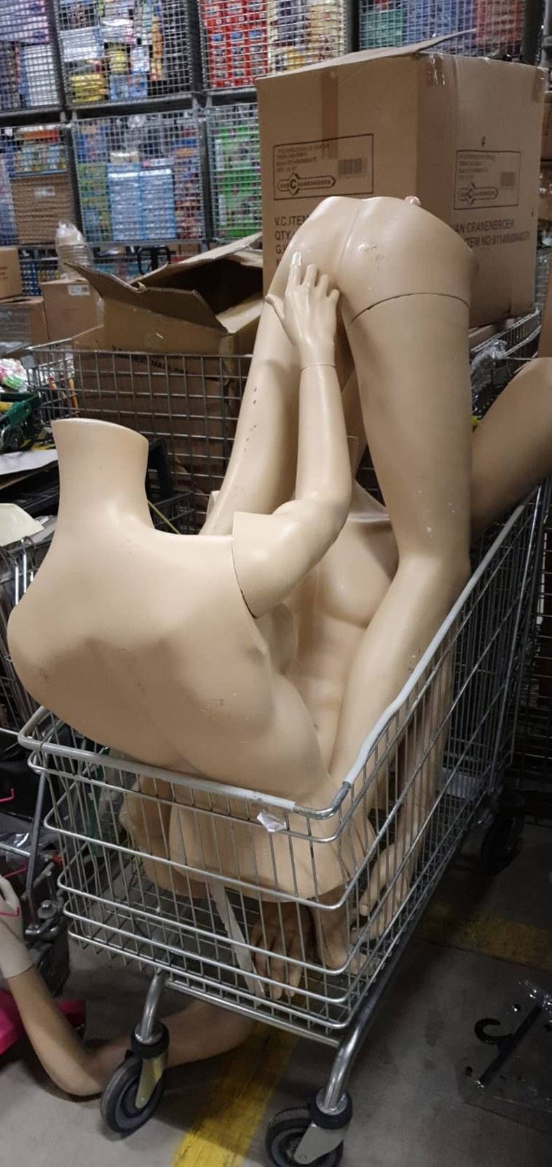 Gewoon een verzameling hilarische foto's #1244