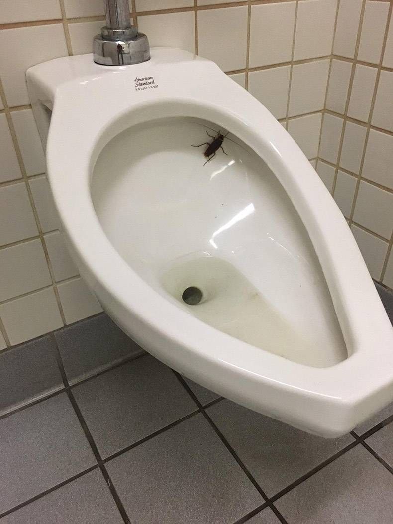 Gewoon een verzameling hilarische foto's #1139