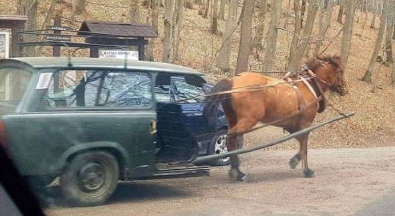 Gewoon een verzameling hilarische foto’s #1107