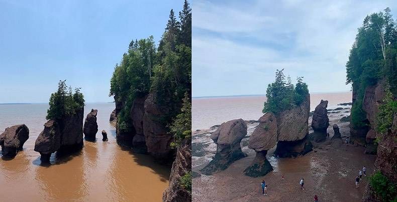 Gewoon een verzameling hilarische foto's #1159