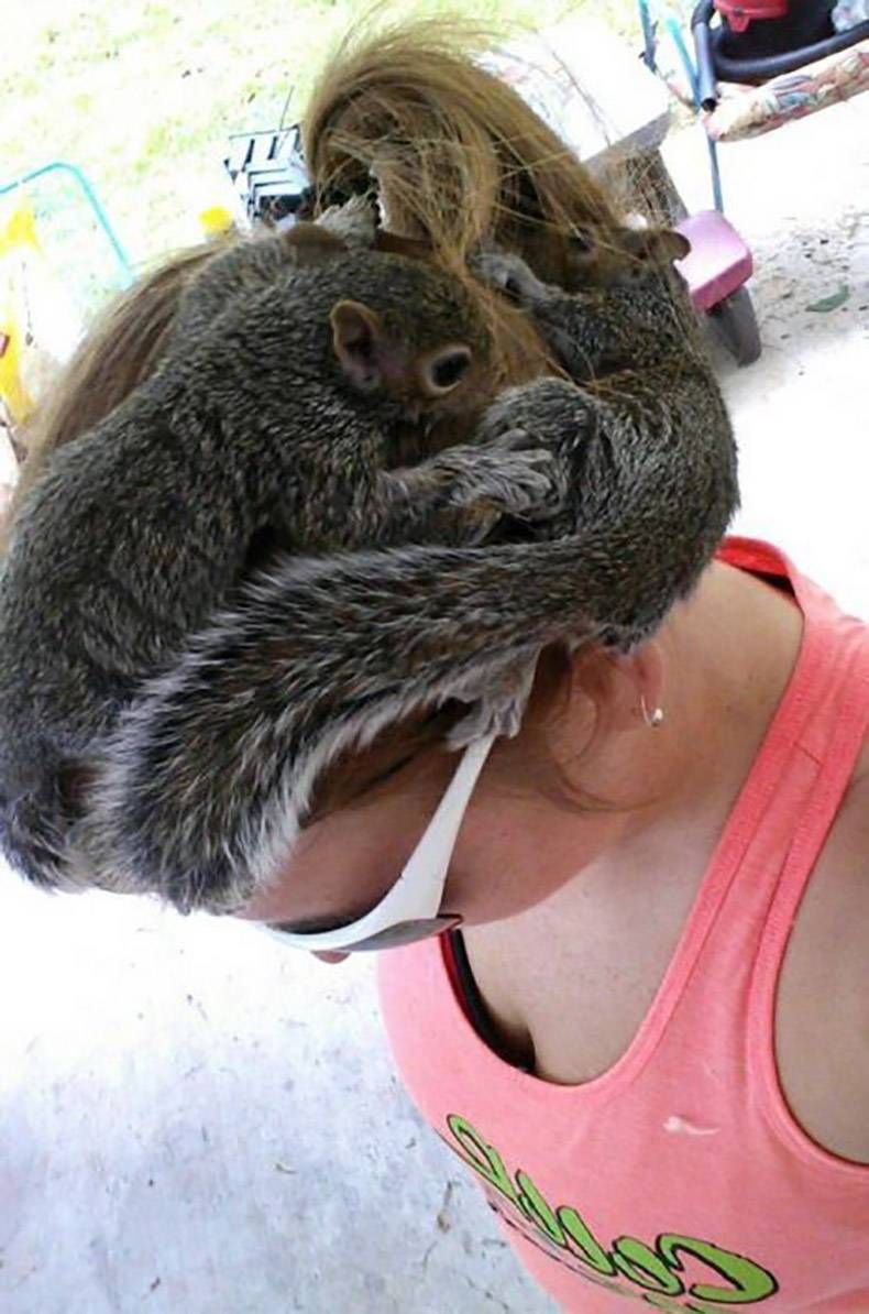 Gewoon een verzameling hilarische foto's #1077