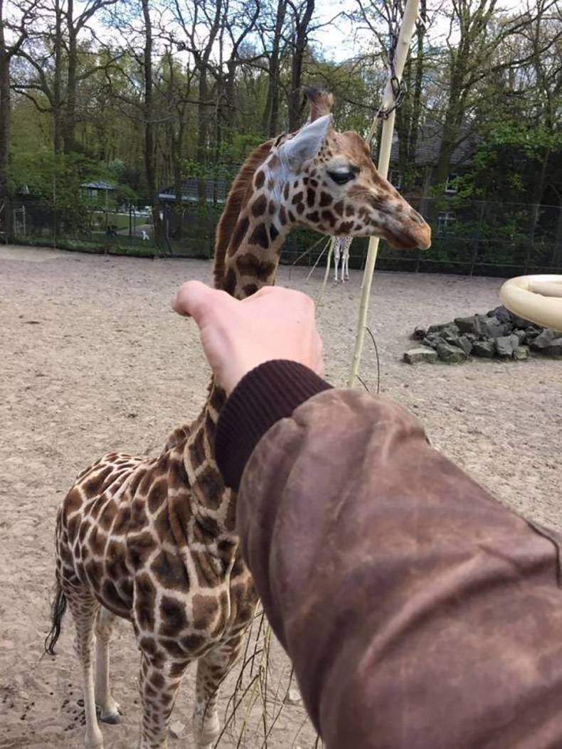 Gewoon een verzameling hilarische foto's #999