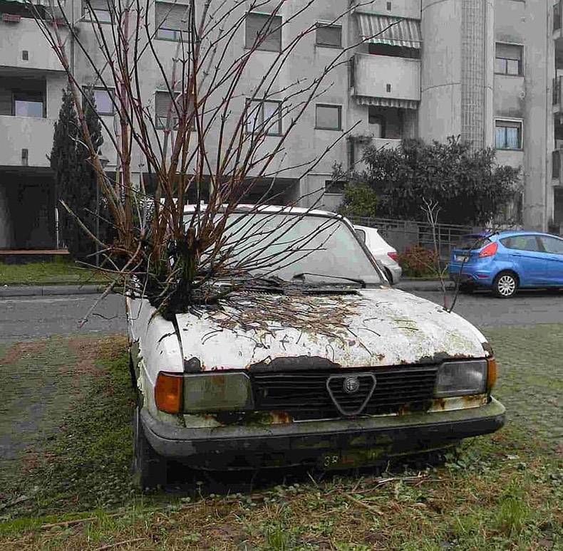 Gewoon een verzameling hilarische foto's #1173