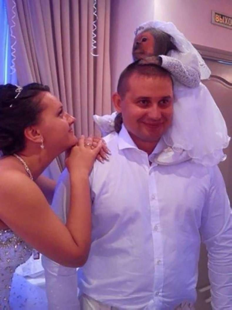 Gewoon een verzameling hilarische foto's #933