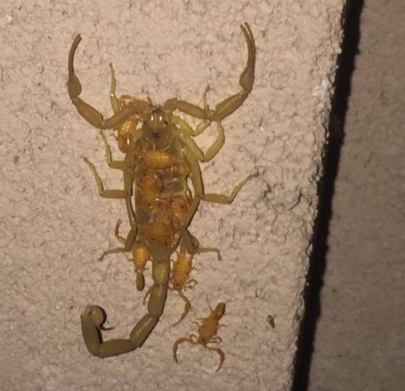 Gewoon een verzameling hilarische foto's #704