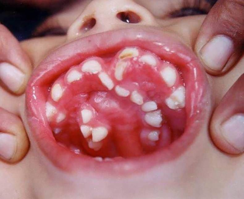 Gewoon een verzameling hilarische foto's #1321