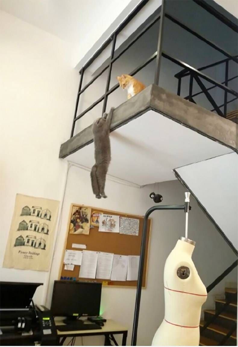 Gewoon een verzameling hilarische foto's #852