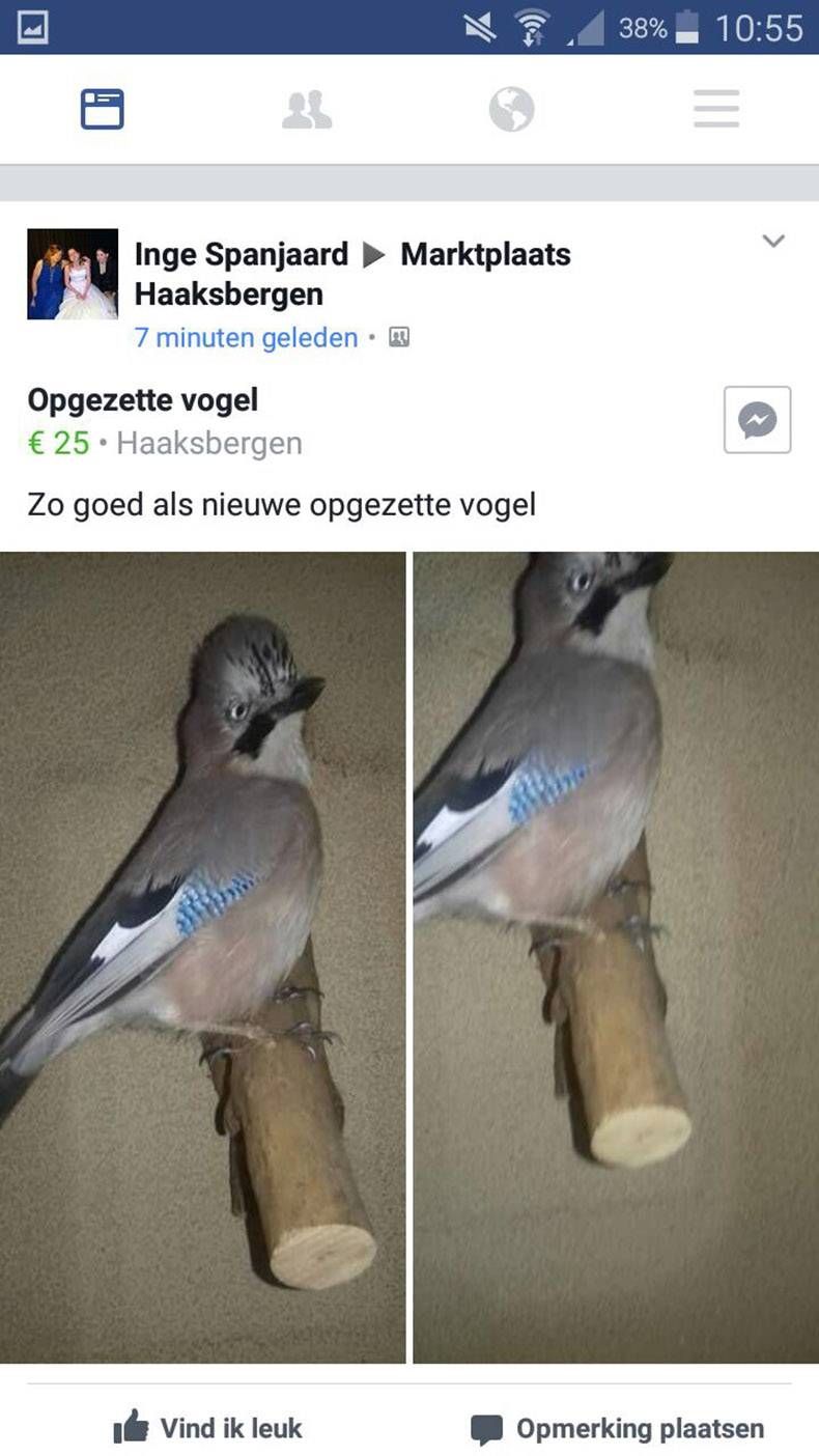 Gewoon een verzameling hilarische foto's #845