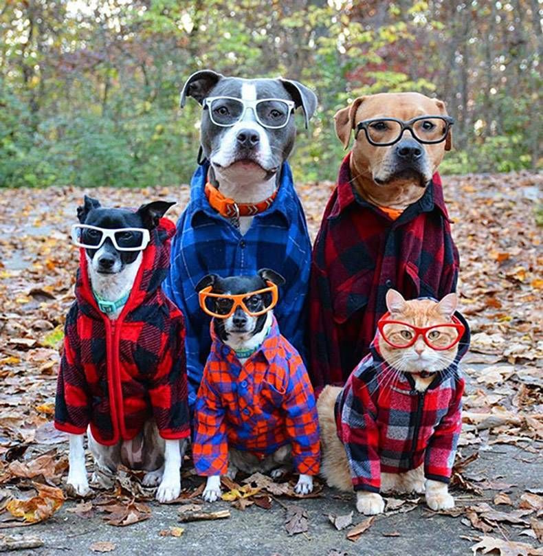 Gewoon een verzameling hilarische foto's #782