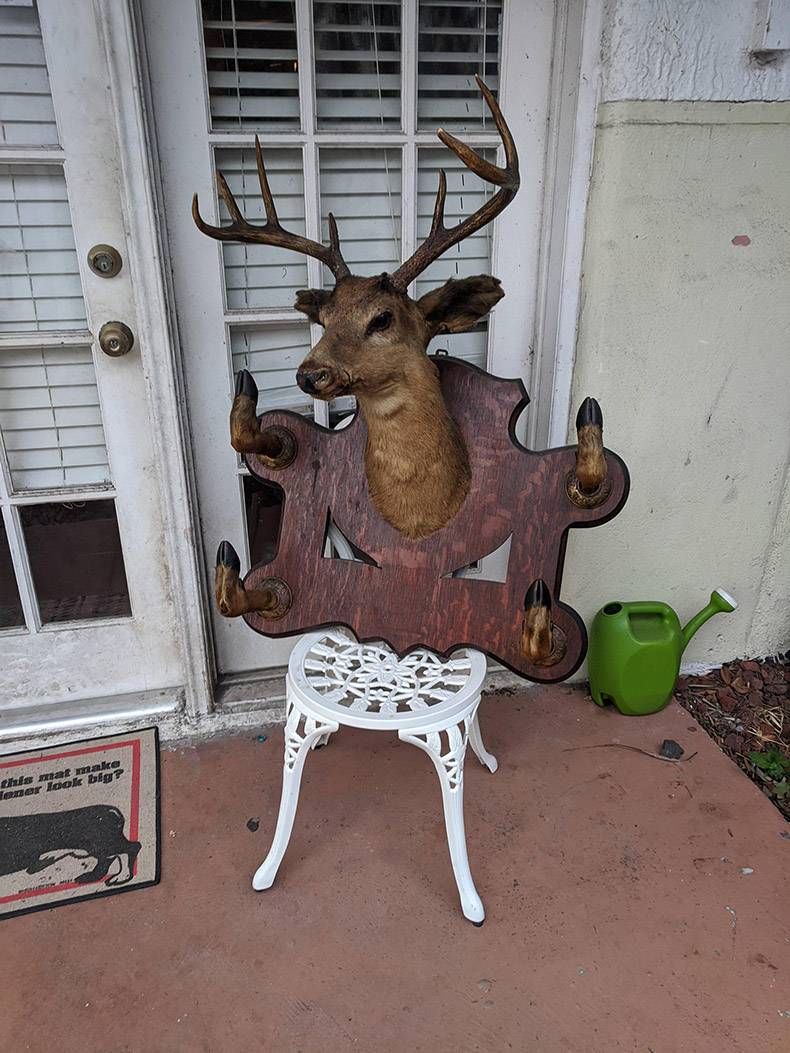 Gewoon een verzameling hilarische foto's #1240